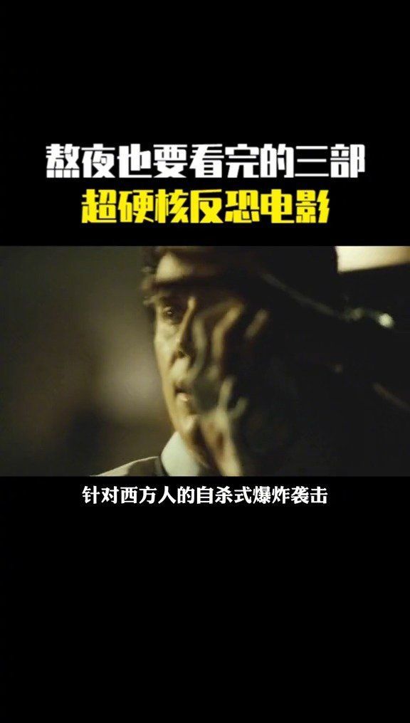 熬夜也要看完的三部,超硬核反恐电影