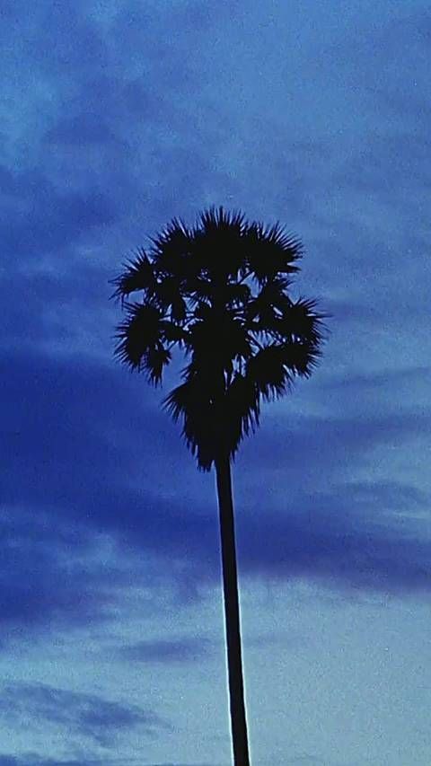 烦恼 . vol 32 “佢成日都系咁唧啦,好大头虾。”