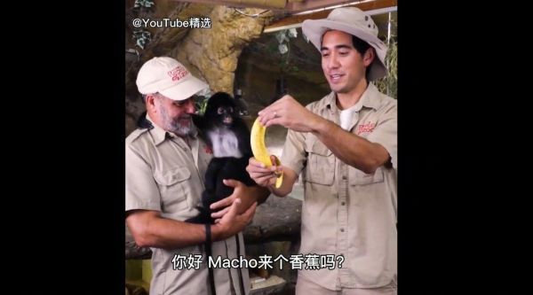 男巫Zach king近期魔术合集，依旧是一个比一个精彩……