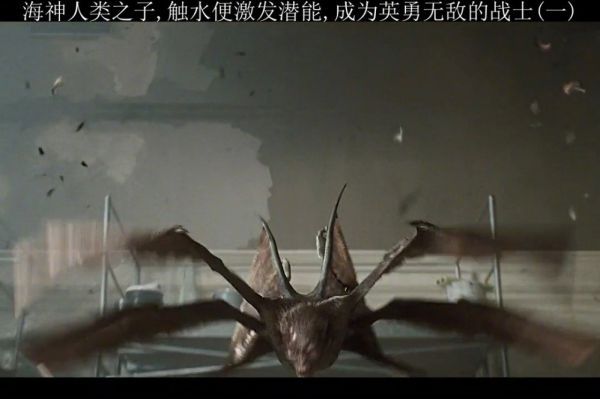海王人间的私生子，遇水就激发潜能