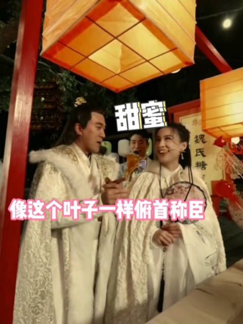 杨子的情商是暂时掉线了吗？