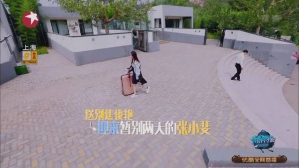 全国粉丝后援会和官方粉丝团全部都解散……