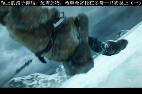 多哥，一只伟大而忠诚的狗