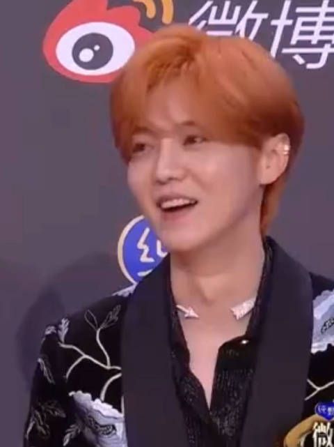 鹿晗 红毯竖屏cut 鹿晗的丝绒西装好贵气!