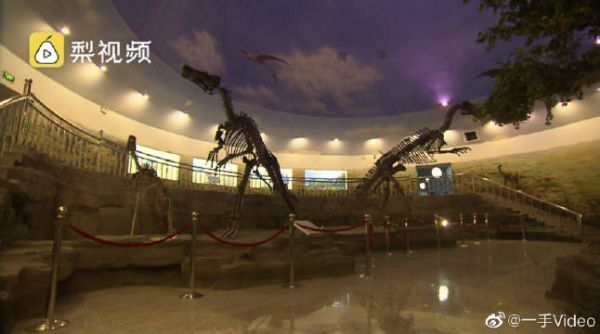 东北小城因恐龙出名，第一架恐龙化石在此出土