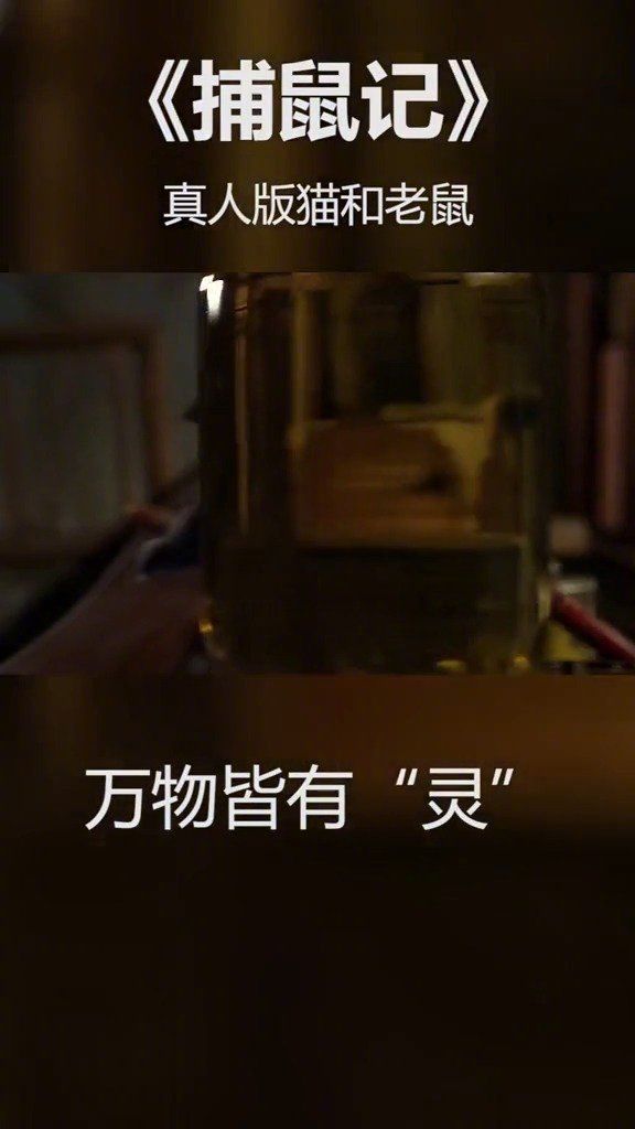 父亲去世投胎成老鼠，兄弟俩惨遭恶搞，谁叫你们把我抬翻了？