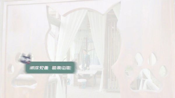 太甜了太甜了，猫宠设定真的是一绝……