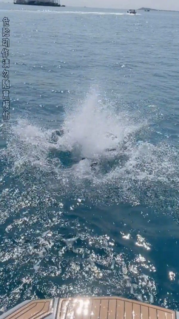 贾乃亮来冲浪了,据说亮哥上手超快,20分钟搞定!