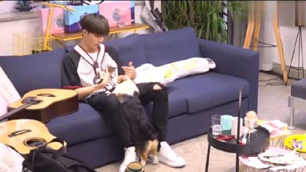 陈立农真的好喜欢猫咪啊，还记得他用台湾腔和猫咪讲话……