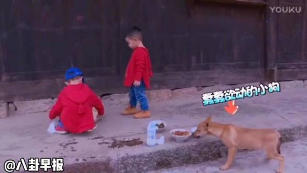 东北宋仲基可算是胖了 安吉和小鱼儿太可爱了！