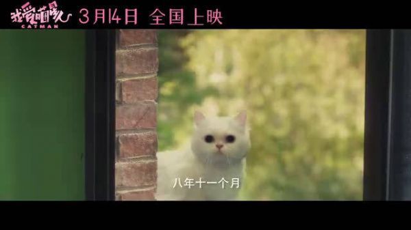 吴世勋的首部电影作品 定档314，粉丝等了好几年，终于要上映了……
