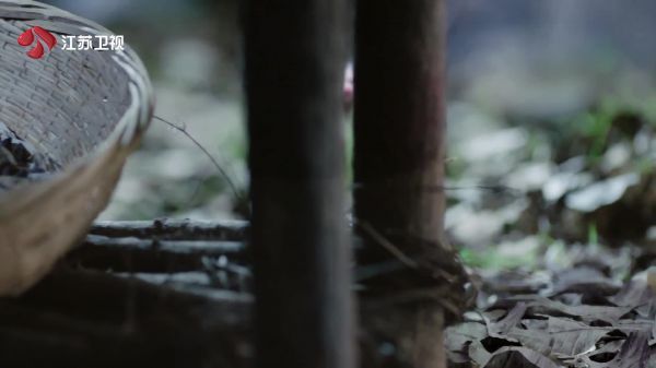 司凤可真是全才，竟然还会兽语 大家跟随找到八荒镜的所藏之处……