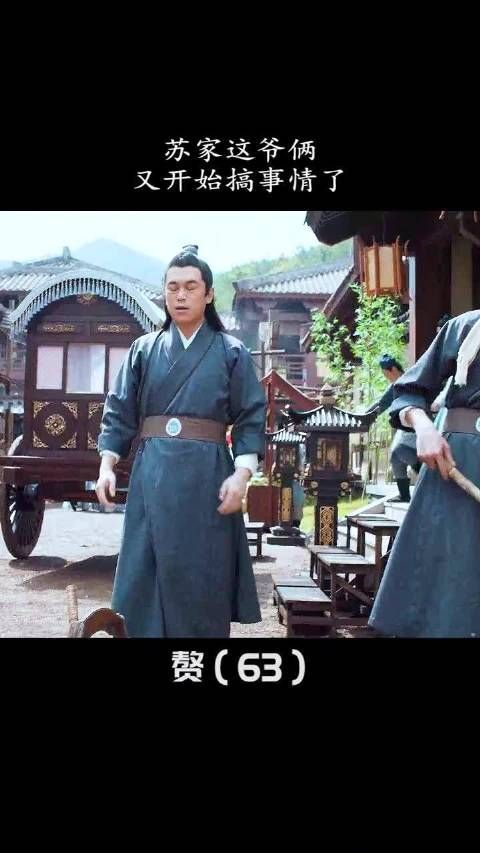 《赘婿》第63集：苏家这爷俩太搞笑了……