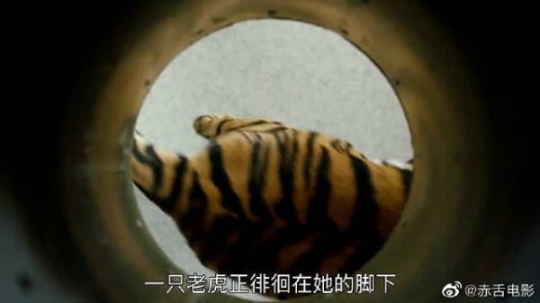 燃烧的夜晚