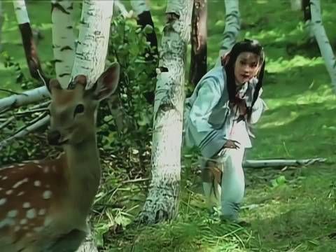第六集：苏有朋箭法神奇……