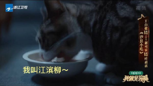 江滨柳，真的好可爱好乖巧～
