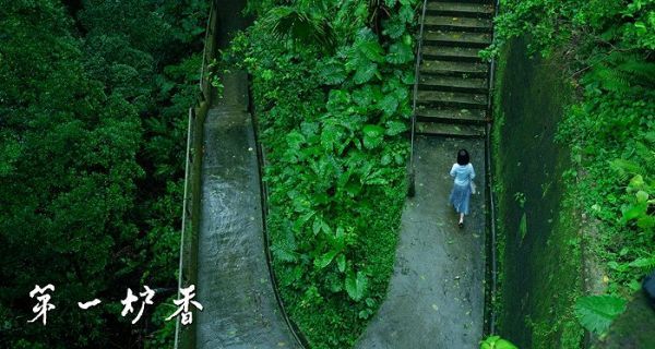 《第一炉香》剧照