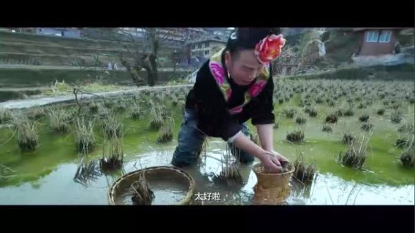 一部手机记录一个村庄的变化