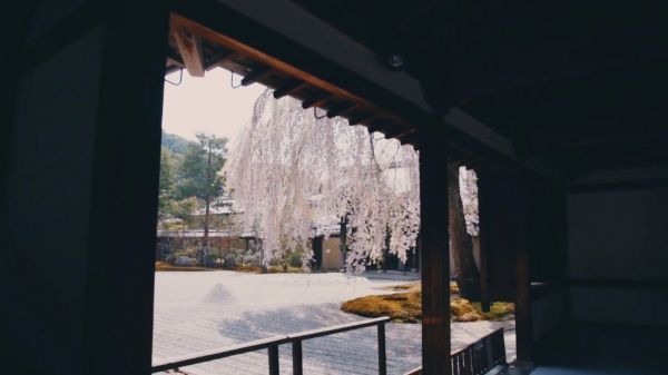粤语歌里的日本 026