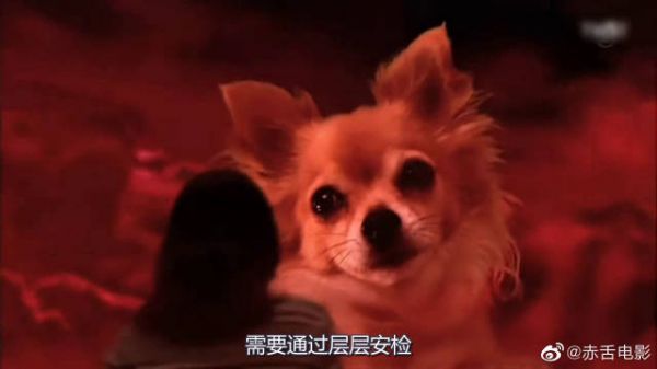 世界奇妙物语之梦的检阅官