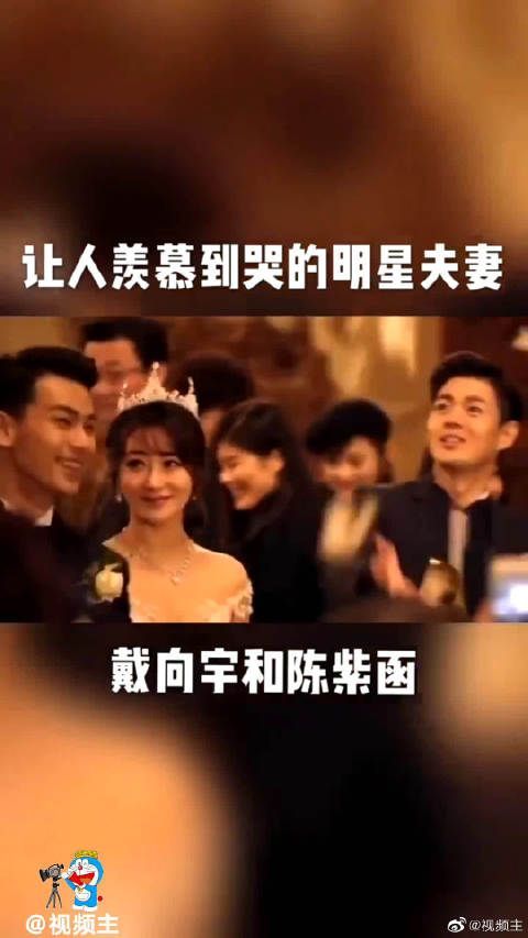 你知道原来陈紫函和戴向宇是夫妻吗？