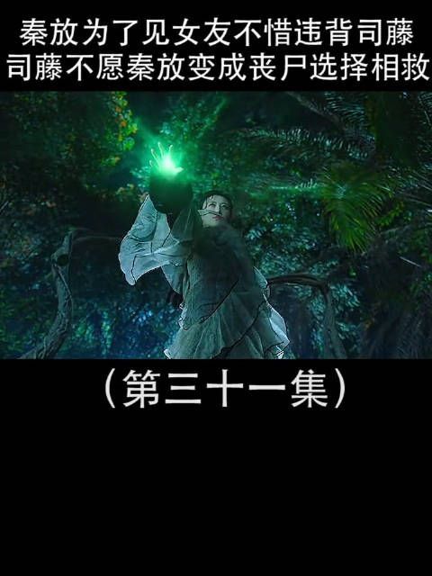 司藤这段简直绝了！