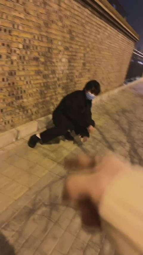 王晨艺立志要做一只有礼貌的猫……