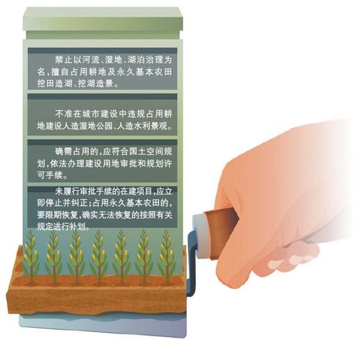 　　来源：《关于坚决制止耕地“非农化”行为的通知　　制图：张丹峰