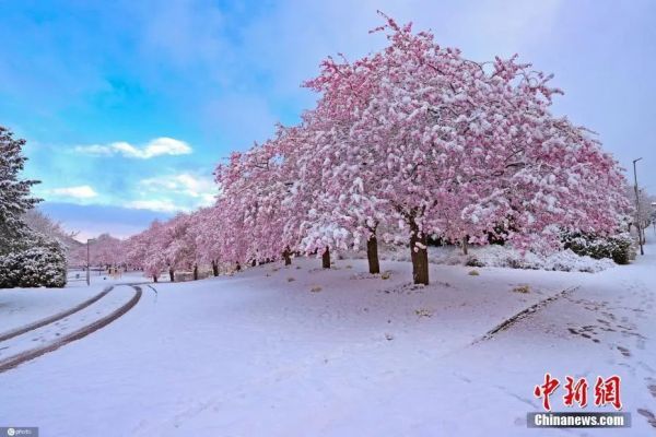 图片来源：IC photo