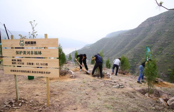 各地网友代表亲手种下“保护黄河幸福林”