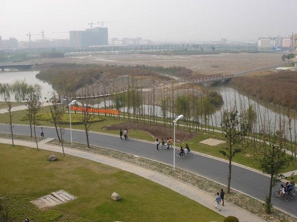 图说:垃圾岛2006年启动生态修复 来源/采访对象供图(下同)