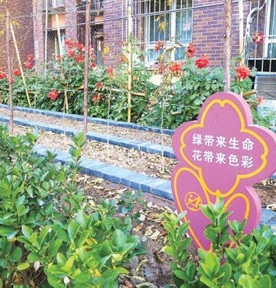 北京石景山区古城西路现代嘉园西区居委会组织动员居民认领社区绿地,共同创建美好社区环境。已经建好的花圃整齐干净,让人眼前一亮。 资料图片