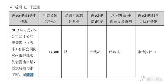 华策影视2020年年报 截图