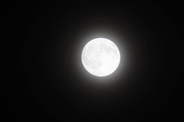 Canon EOS R5;RF800mm F11 IS STM;F/11;1/30s;ISO 3200; Tea-tia/摄
