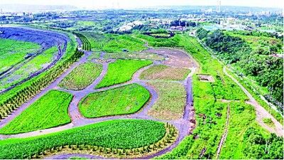     抚顺市西露天矿生态修复实验基地实景 图片由抚顺矿业集团有限责任公司西露天矿提供