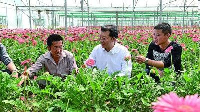     廖俊波（中）在福建省政和县铁山镇东涧村向花农了解花卉生产情况。新华社发（徐庭盛摄）