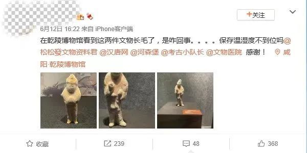 ▲一名游客在参观乾陵博物馆时发现陶俑异常的情况,并将照片发布到微博上。图片来源:微博截图