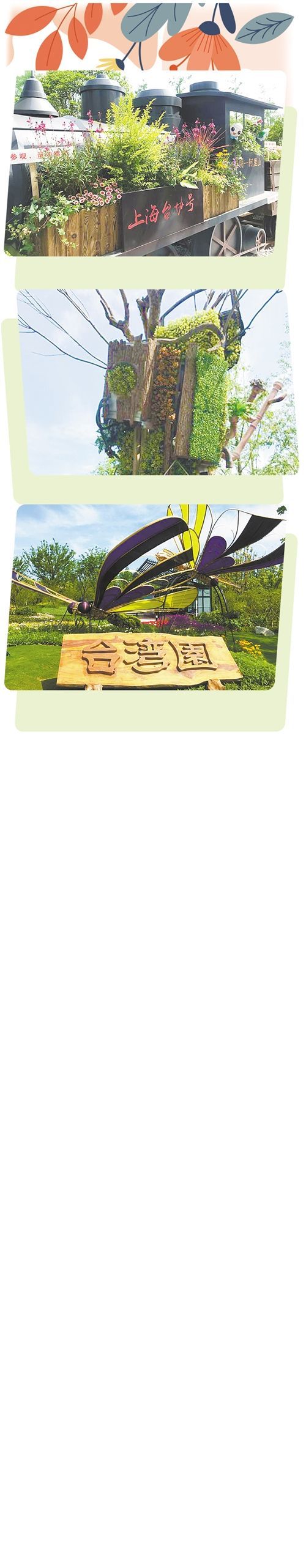 微缩版“阿里山小火车”—“上海台协号”。本报记者 沈则瑾摄装置艺术品“印象神木”。本报记者 沈则瑾摄室外台湾园入口处的“蝶舞纷飞”。本报记者 沈则瑾摄