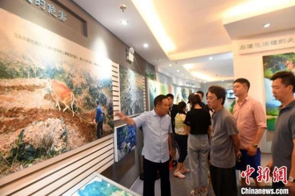 杨政谕（前排左二）参观弄拉屯石漠化治理展示馆。 蒋雪林 摄