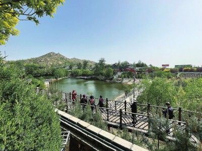 河北平山县李家庄村,游客在池塘边栈道上拍照留念。本报记者 李笑萌摄/光明图片
