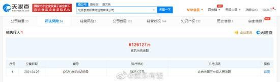 被执行总金额