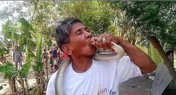 图源:外媒