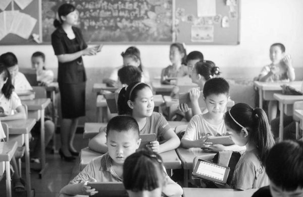 贾宁 摄