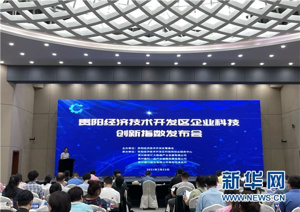 发布会现场。新华网发(但胜姣 摄)
