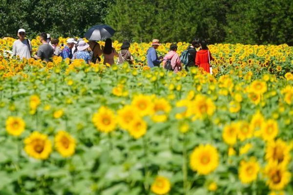  图片来源：新华社