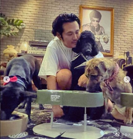 曹格与爱犬