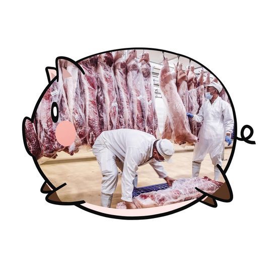 超市员工分拣猪肉