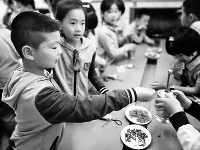 上海中医药大学附属闵行蔷薇小学的学生在识别中草药。资料图片