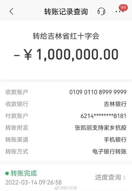 张凯丽向吉林抗疫捐款100万