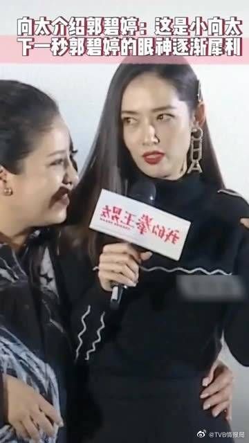 向太介绍郭碧婷：这是小向太……